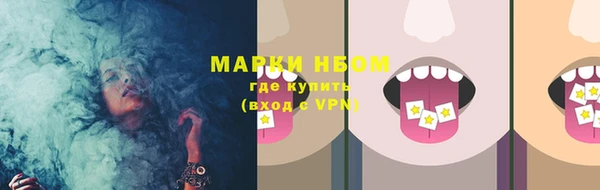 PSILOCYBIN Алзамай