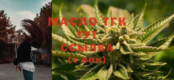 PSILOCYBIN Алзамай