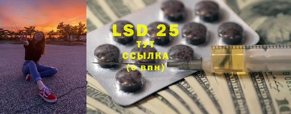 PSILOCYBIN Алзамай